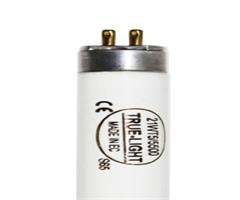 TL1621   True-Light T5 / 21W (L:849mm x ø16mm) 